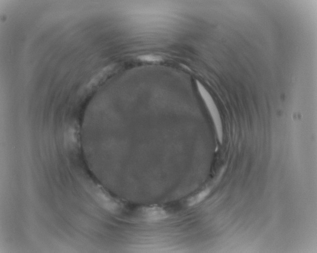 X0000070400424200606302016