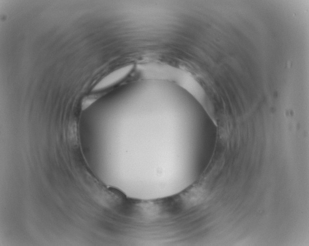 X0000070400425200606302016