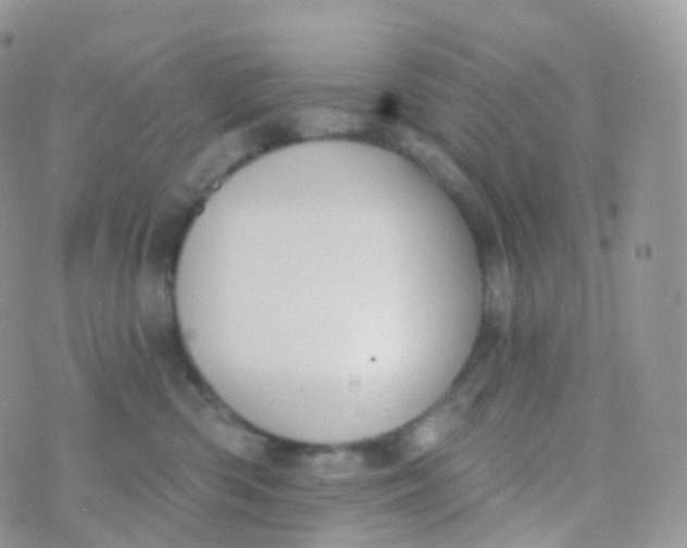 X0000070400426200606302016