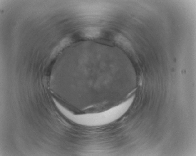 X0000070400428200606302016