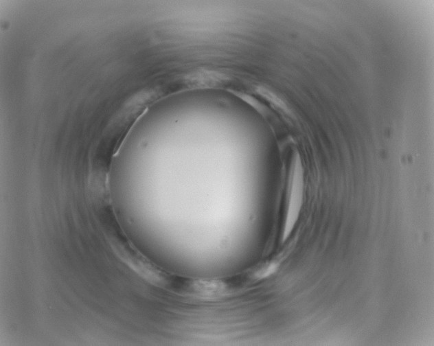 X0000070400429200606302016