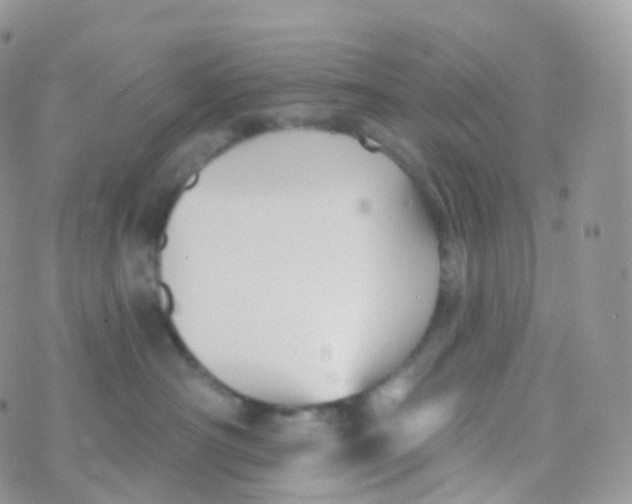 X0000070400430200606302016