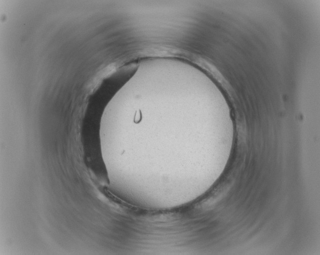 X0000070400433200606302015