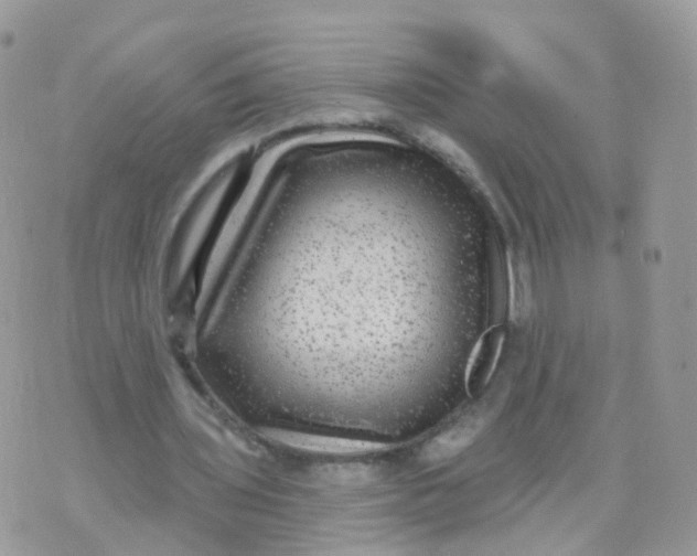 X0000070400435200606302015