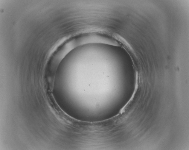 X0000070400436200606302015