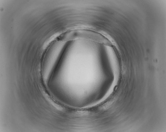 X0000070400437200606302015