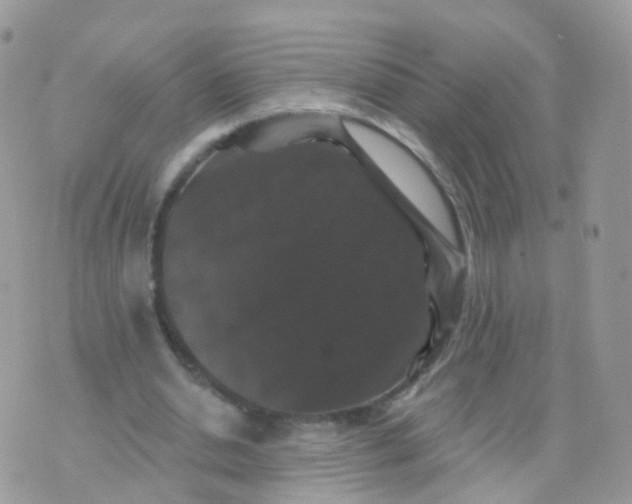 X0000070400438200606302015