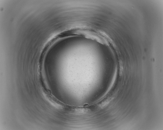 X0000070400439200606302015