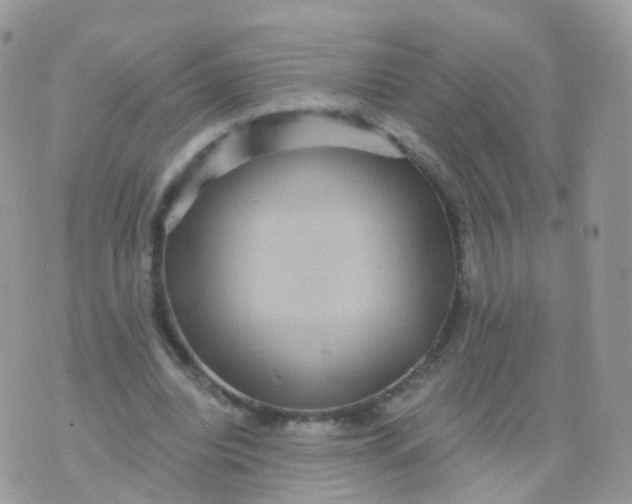 X0000070400440200606302015