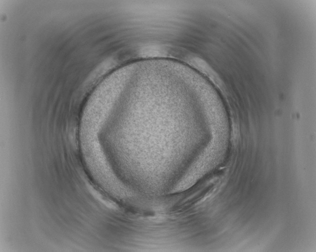 X0000070400441200606302015