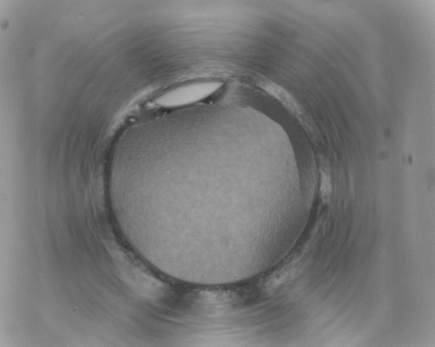 X0000070400442200606302015