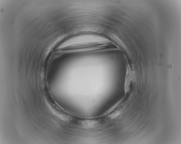 X0000070400444200606302015