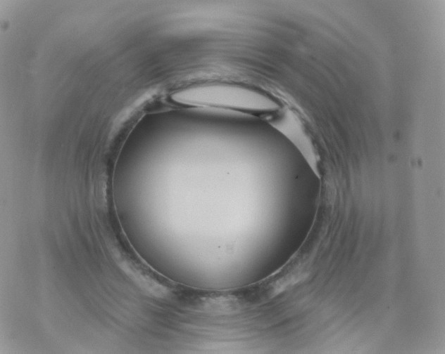 X0000070400446200606302015