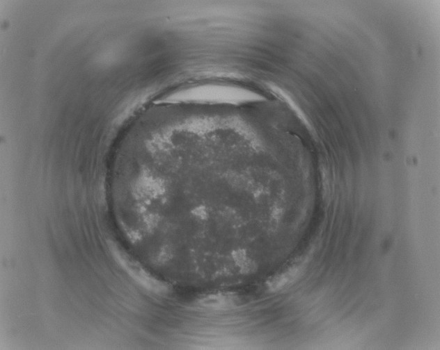 X0000070400447200606302015