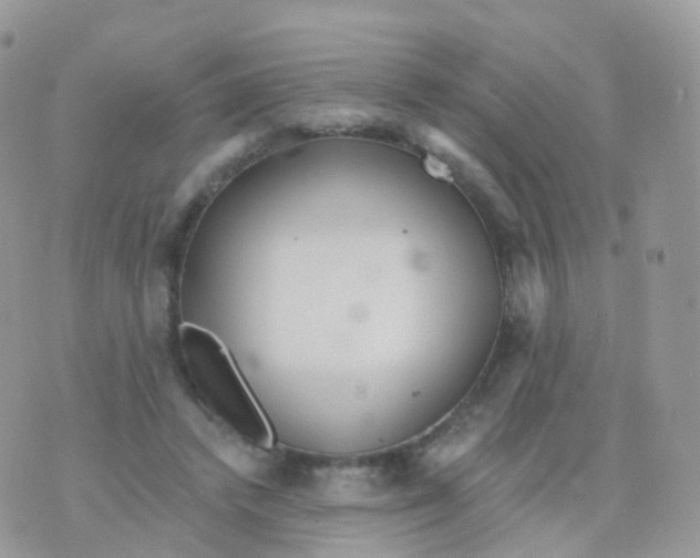 X0000070400448200606302015