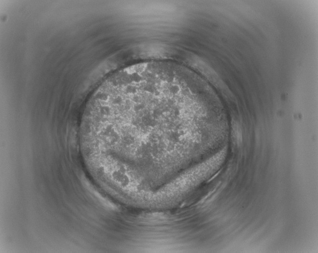 X0000070400449200606302015