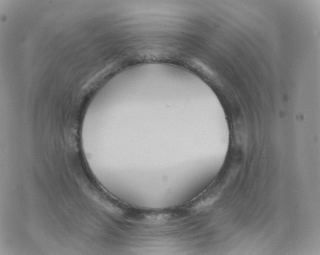 X0000070400450200606302015