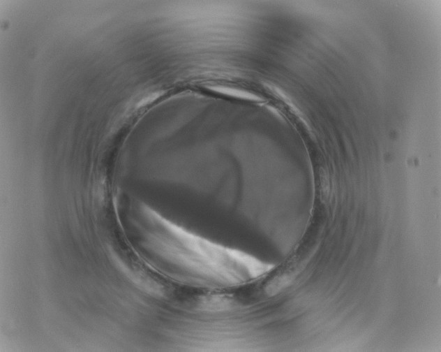 X0000070400451200606302015