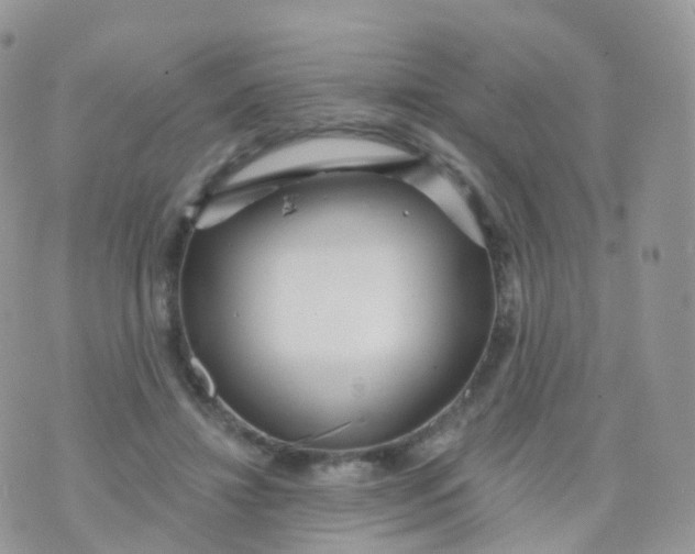 X0000070400452200606302015