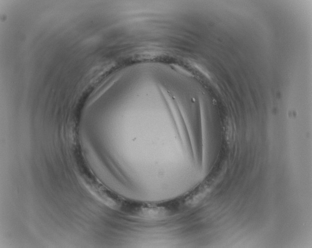 X0000070400455200606302015