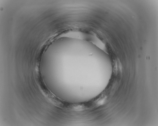 X0000070400456200606302015