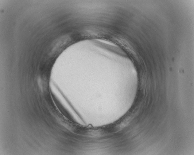 X0000070400457200606302015