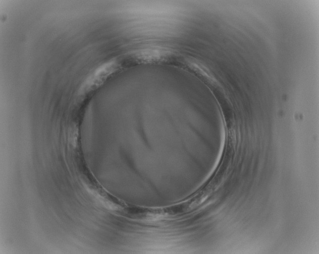 X0000070400458200606302015