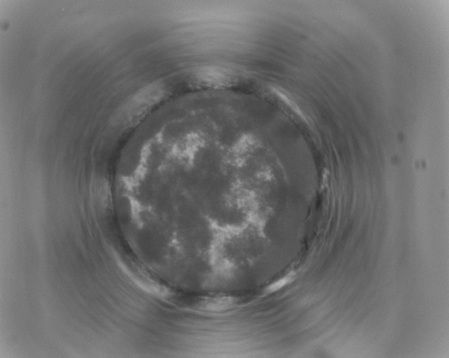 X0000070400459200606302015