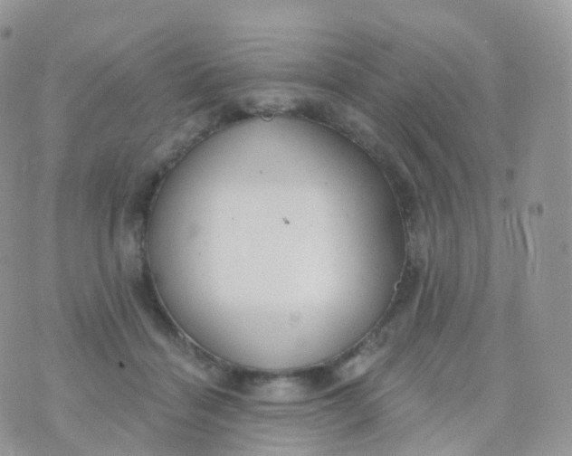 X0000070400460200606302015