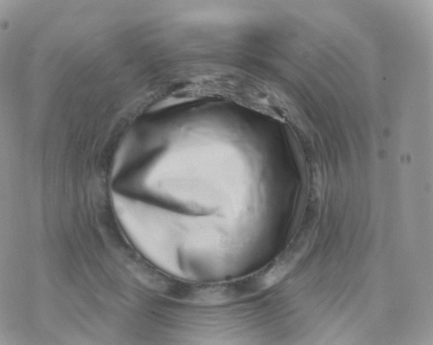 X0000070400461200606302015