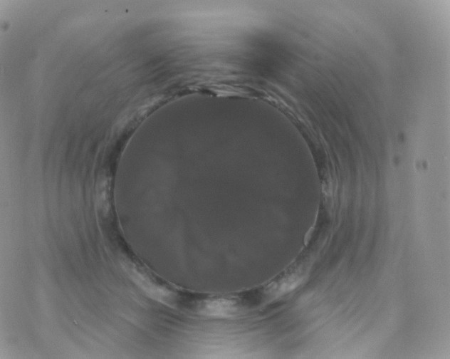 X0000070400462200606302015