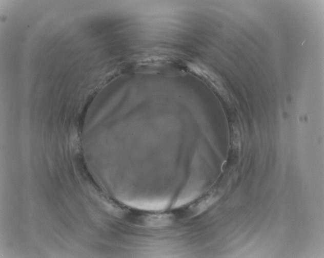 X0000070400465200606302015