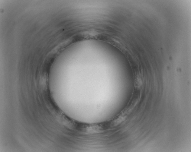 X0000070400468200606302016