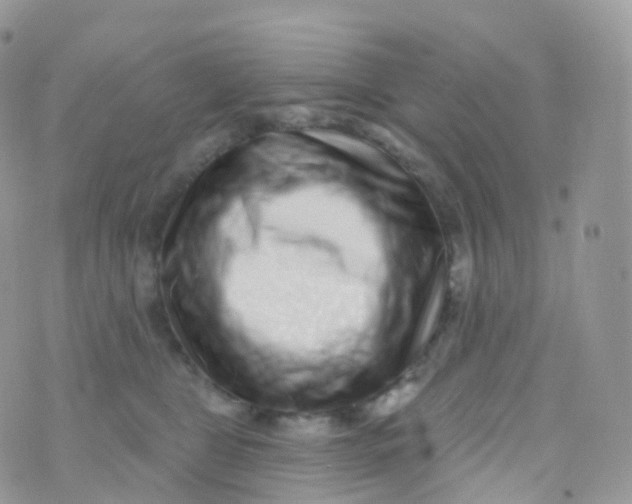 X0000070400469200606302016