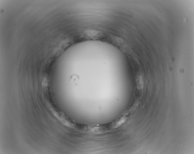 X0000070400472200606302016