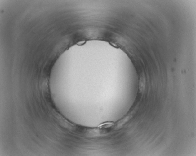 X0000070400473200606302016