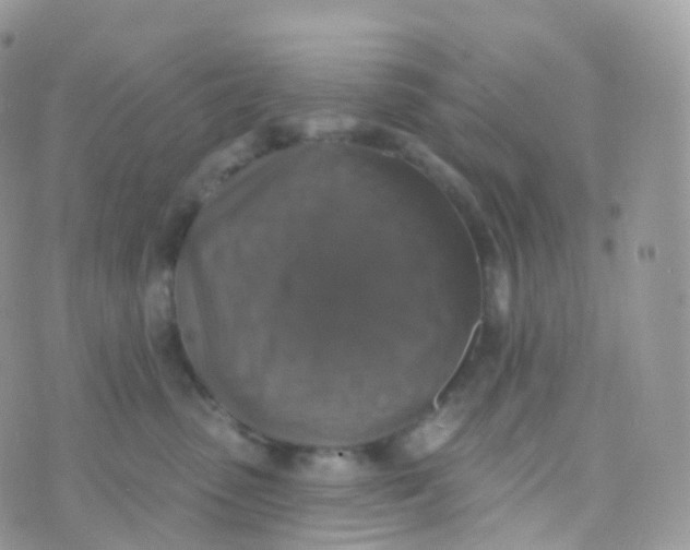 X0000070400475200606302016