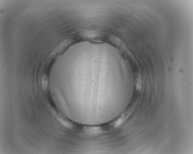 X0000070400476200606302016