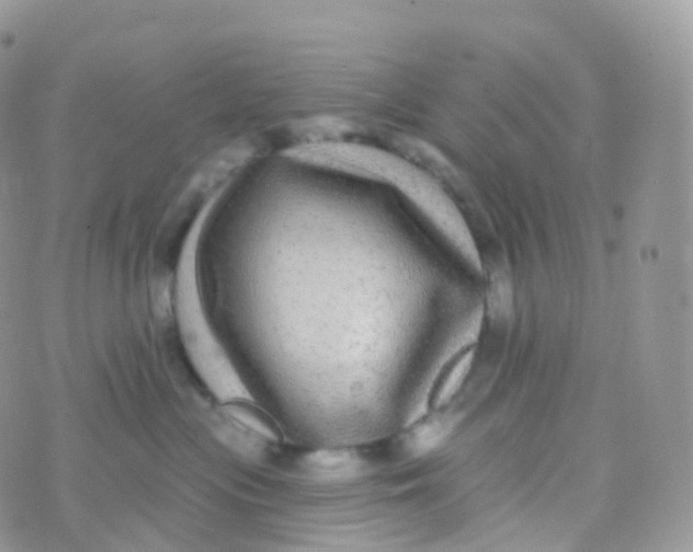 X0000070400477200606302016