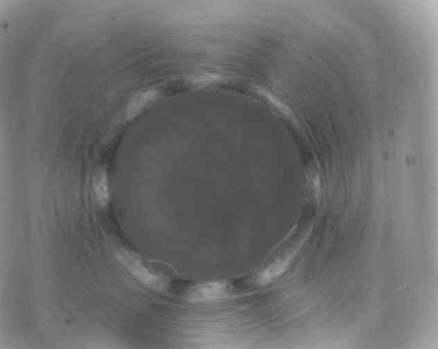 X0000070400479200606302016