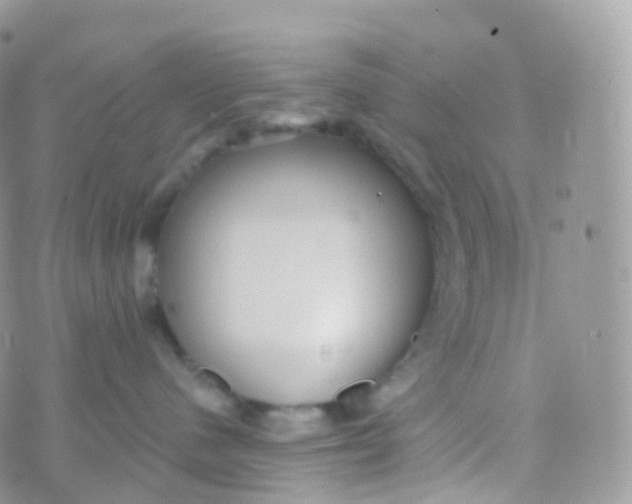 X0000070400480200606302016