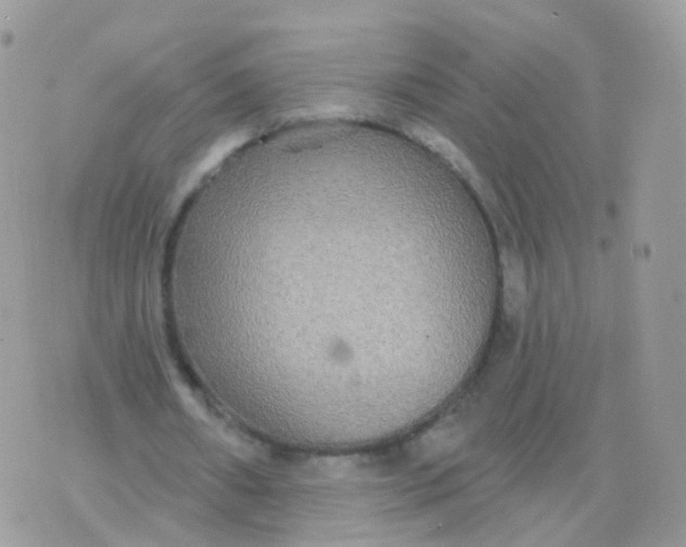 X0000070400482200606302015