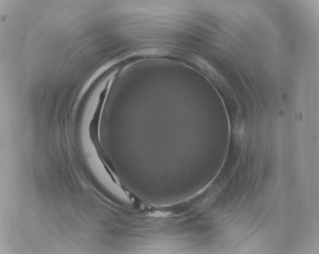 X0000070400484200606302015