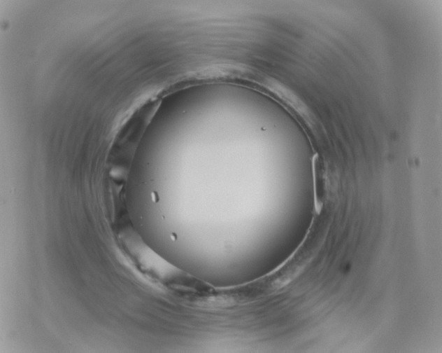 X0000070400485200606302015