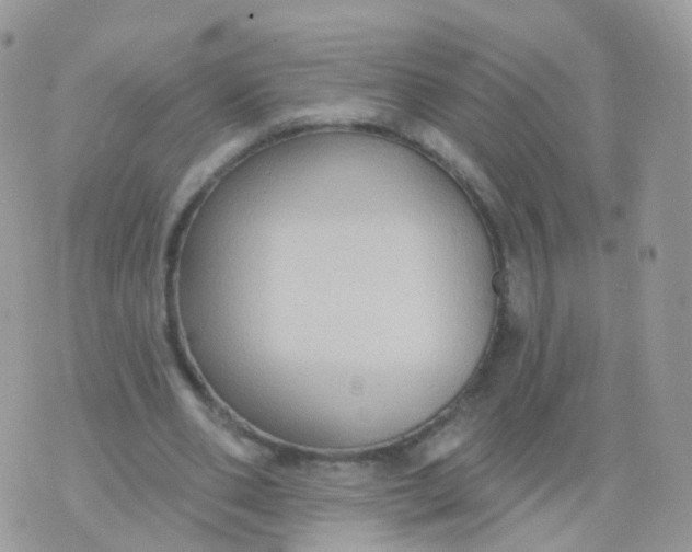 X0000070400486200606302015