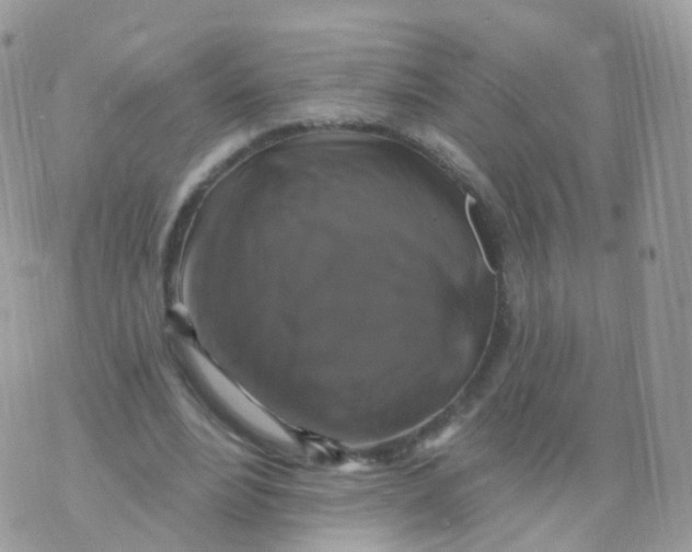 X0000070400488200606302015