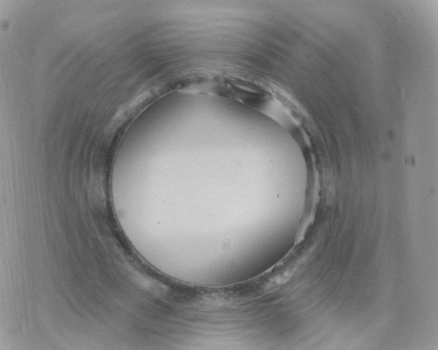 X0000070400489200606302015