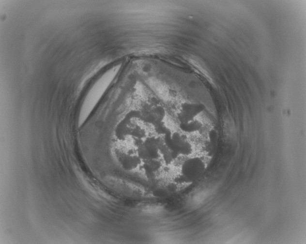 X0000070400491200606302015