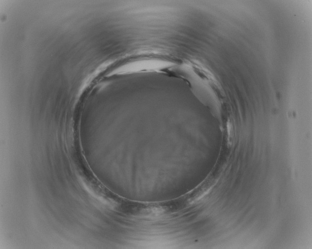 X0000070400492200606302015