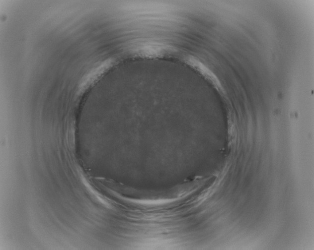 X0000070400493200606302015